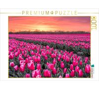 Puzzle CALVENDO Une mer de tulipes à la lumière du soir | 1000 pièces, format as