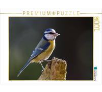 CALVENDO Puzzle Mésange Bleue sur Une souche d'arbre 1000 Pieces 64 x 48 cm from ropo13