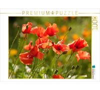 CALVENDO Puzzle Prairie Romantique de Coquelicots 1000 Pieces 64 x 48 cm from Meike Bölts