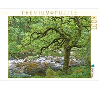 CALVENDO Puzzle Rivière Sauvage dans Une Nature verdoyante 1000 Pieces 64 x 48 cm from Nina Hassa