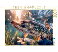Puzzle CALVENDO Une vue magique | 1000 pièces, format assemblé 64 × 48 cm | Puzz