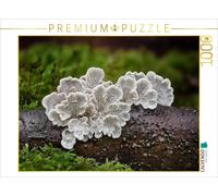 Puzzle CALVENDO Vipère à veines frisées | 1000 pièces, format assemblé 64 × 48 c