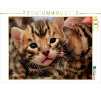 Puzzle CALVENDO Visage de chaton à 18 jours | 1000 pièces, format assemblé 64 ×