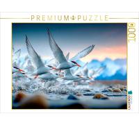 Puzzle CALVENDO Vol vers la côte | 1000 pièces, format assemblé 64 × 48 cm | Puz