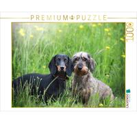 Puzzle CALVENDO Zambi et Ugo sont les meilleurs amis du monde | 1000 pièces, for