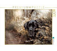 Puzzle · Cane Corso | Les gardiens du silence · Un regard qui plonge dans les… · 1000 pièces · Format assemblé 64 × 48 cm · CALVENDO Puzzle