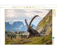 Puzzle · Capricorne Siesta | Un fier bouquetin dans l'Alpstein · 1000 pièces · Format assemblé 64 × 48 cm · CALVENDO Puzzle