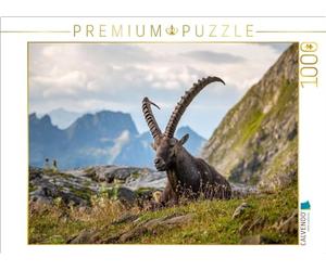 Puzzle · Capricorne Siesta | Un fier bouquetin dans l'Alpstein · 1000 pièces · Format assemblé 64 × 48 cm · CALVENDO Puzzle