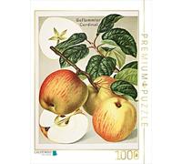 Puzzle · Cardinal flammé, en Bas Allemand : Falske Gravensteener | 1000 pièces · Format assemblé 64 × 48 cm · CALVENDO Puzzle
