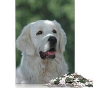 Puzzle carré de 500 pièces représentant Un Berger des Tatras pour Adultes, Puzzle en Bois, Jouets de Divertissement Familial, 500 pièces (52 x 38 cm)