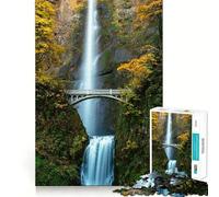 Puzzle Cascade pour Adolescents 1000 pièces Jeu de mémoire Amusant Surface Lisse sans bavures Cadeau d'anniversaire Casse-tête (38x52cm)