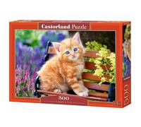 Castorland Puzzle B-52240 Jeune Chat – 500 pièces