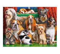 Puzzle Castorland Dog Club - Animaux - 3000 pièces - Enfants et adultes