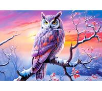 Puzzle CASTORLAND La soirée parfaite avec la chouette 500 pièces