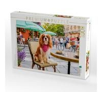 Puzzle · Cavalier Spaniel im lebhaften Straßencafé | Ein niedlicher Cavalier-King-Charles-Spaniel sitzt entspannt… · 1000 pièces · Format assemblé 64 × 48 cm · CALVENDO Puzzle
