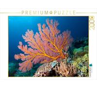 Puzzle · Ce Corail en Forme d'éventail resplendit à la Lueur du Flash | sous-marin · Paysage récifal au large de Palau, en Micronésie · 2000 pièces · Format assemblé 90 × 67 cm · CALVENDO Puzzle