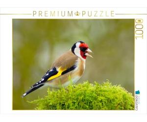 Puzzle · chardonneret | Le chardonneret · L'un de nos plus beaux oiseaux chanteurs · 1000 pièces · Format assemblé 64 × 48 cm · CALVENDO Puzzle