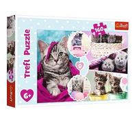 PUZZLE CHAT 160 PIECES
