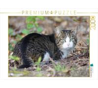 Puzzle · Chat Domestique à l'orée de la forêt | Chats et animaux de compagnie · 2000 pièces · Format assemblé 90 × 67 cm · CALVENDO Puzzle