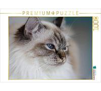 Puzzle · Chat sacré de Birmanie, seal tabby point | Chat sacré de Birmanie, seal tabby point · 1000 pièces · Format assemblé 64 × 48 cm · CALVENDO Puzzle