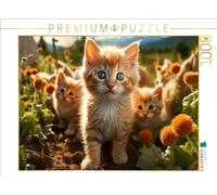 Puzzle · Chaton, C'est déjà passionnant et Excitant Ici | 1000 pièces · Format assemblé 64 × 48 cm · CALVENDO Puzzle