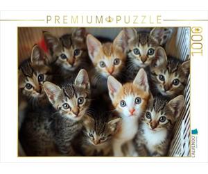 Puzzle · Chaton - tas Douillet | 1000 pièces · Format assemblé 64 × 48 cm · CALVENDO Puzzle