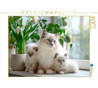 Puzzle · Chatons sacrés de Birmanie - Les Petits chouchous de Maman | Le bonheur familial sur des pattes de velours · 1000 pièces · Format assemblé 64 × 48 cm · CALVENDO Puzzle