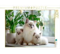 Puzzle · Chatons sacrés de Birmanie - Les Petits chouchous de Maman | Le bonheur familial sur des pattes de velours · 2000 pièces · Format assemblé 90 × 67 cm · CALVENDO Puzzle