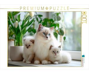 Puzzle · Chatons sacrés de Birmanie - Les Petits chouchous de Maman | Le bonheur familial sur des pattes de velours · 1000 pièces · Format assemblé 64 × 48 cm · CALVENDO Puzzle