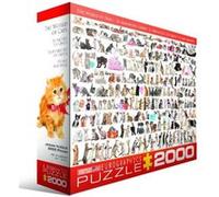 Eurographics Puzzle Welt der Katzen, Kätzchen, 2000 Teile, 67.6 x 96.8 cm, 8220-0580