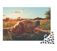 Puzzle Chien Basking in The Sun pour Adultes,1000pcs (75x50cm),Jeu ÉduChatif,décoration De La Maison,Herbe