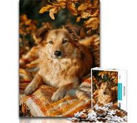 Puzzle Chien d'automne 1000 pièces pour Adultes, Jouets éducatifs et éducatifs, Jeux familiaux avec Affiche et fiche de Questions-réponses Assorties 38x26cm