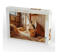 Puzzle · Chien Faisant Caca dans l'écurie - drôle d'Aussie aux Toilettes | silencieuses · Berger australien aux toilettes, moment animal… · 1000 pièces · Format assemblé 64 × 48 cm · CALVENDO Puzzle
