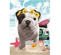 Puzzle chien teo jasmin california - 500 pieces - nathan collection animaux photo d art G