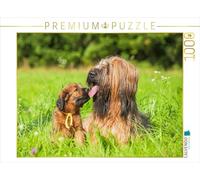Puzzle · Chienne briarde avec Un de Ses Chiots | 1000 pièces · Format assemblé 64 × 48 cm · CALVENDO Puzzle