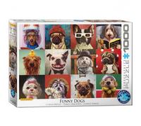 Eurographics – Funny Dogs par Lucia Heffernan