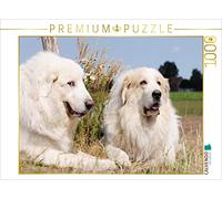 Puzzle · Chiens de Montagne des Pyrénées | Deux chiens de montagne des Pyrénées sont couchés dans le champ · 1000 pièces · Format assemblé 64 × 48 cm · CALVENDO Puzzle