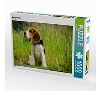 Puzzle · Chiot Beagle | 1000 pièces · Format assemblé 64 × 48 cm · CALVENDO Puzzle