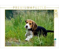 Puzzle · Chiot Beagle dans l'herbe | 1000 pièces · Format assemblé 64 × 48 cm · CALVENDO Puzzle