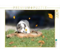 Puzzle · Chiot Border Collie dans Une Coupe en Bois | 2000 pièces · Format assemblé 90 × 67 cm · CALVENDO Puzzle