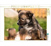 Puzzle · Chiot n° 2 - Chien d'Islande | Un petit chien d'Islande découvre le monde · 1000 pièces · Format assemblé 64 × 48 cm · CALVENDO Puzzle