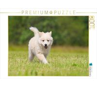 Puzzle · Chiot n° 5 - Chien d'Islande | Un petit chien d'Islande découvre le monde · 1000 pièces · Format assemblé 64 × 48 cm · CALVENDO Puzzle