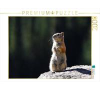 Puzzle · Chipmunk | 2000 pièces · Format assemblé 90 × 67 cm · CALVENDO Puzzle