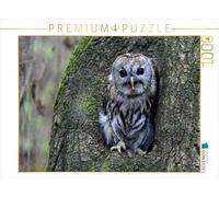 Puzzle · Chouette hulotte | 1000 pièces · Format assemblé 64 × 48 cm · CALVENDO Puzzle