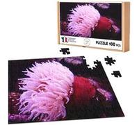 Puzzle classique 100 pièces - Fabulous - Anemone de Mer Rouge et Rose (39,2 x 26,2 cm) G