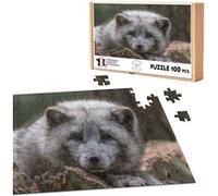 Puzzle classique 100 pièces - Fabulous - Bébé Renard Arctique (39,2 x 26,2 cm) G