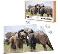 Puzzle classique 100 pièces - Fabulous - Caresses d'Éléphants D'Afrique (39,2 x 26,2 cm) G