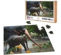 Puzzle classique 100 Pièces - Fabulous - Elephante d'Asie et son Petit a (39,2 x 26,2 cm) G