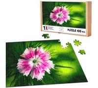 Puzzle classique 100 pièces - Fabulous - Oeillet Rose Dianthus (39,2 x 26,2 cm) Rose G