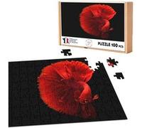Puzzle classique 100 Pièces - Fabulous - Poisson Combattant Dragon Rouge Vie (39,2 x 26,2 cm) Rouge G